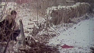 Paradies. Eine imperialistische Tragikomödie háttérkép