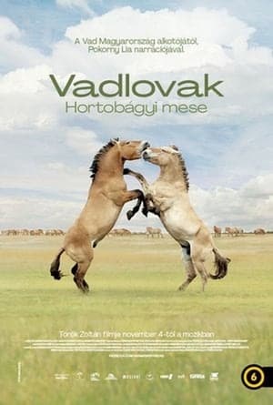 Vadlovak - Hortobágyi mese poszter