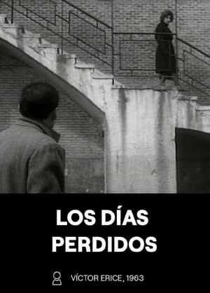 Los días perdidos poszter