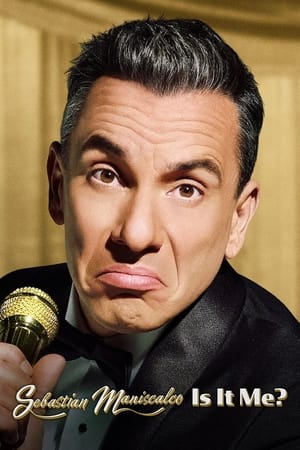 Sebastian Maniscalco: Is it Me? poszter