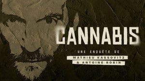 Cannabis : Une enquête de Mathieu Kassovitz et Antoine Robin háttérkép