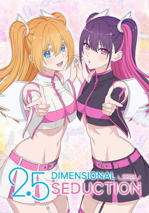 2.5 Dimensional Seduction poszter