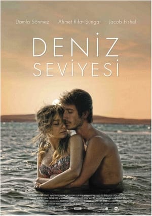 Deniz Seviyesi poszter