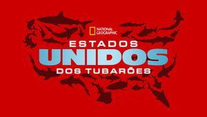 United Sharks of America háttérkép