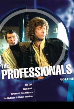 The Professionals poszter