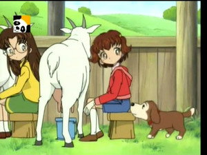 とっとこハム太郎 Season 1 Ep.70 70. epizód