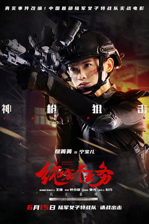 绝密任务 poszter