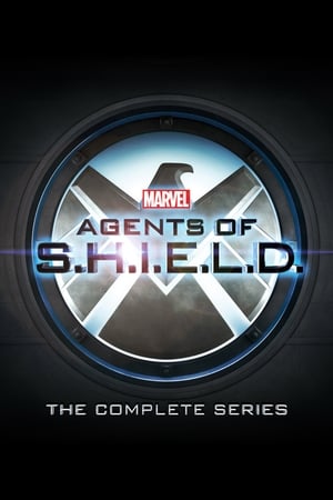 A S.H.I.E.L.D. ügynökei poszter