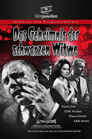 Das Geheimnis der schwarzen Witwe poszter