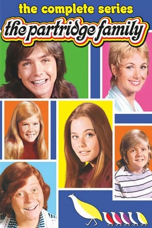 The Partridge Family poszter