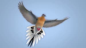 From Billions to None: The Passenger Pigeon's Flight to Extinction háttérkép