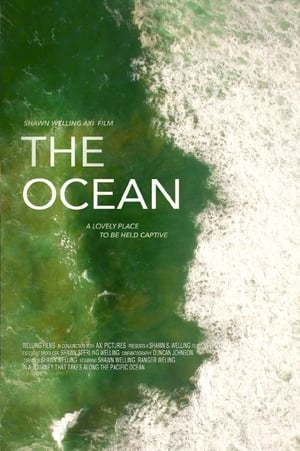 The Ocean