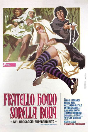Fratello homo sorella bona poszter