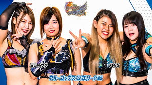 第13回 ゴッデス・オブ・スターダム ～タッグリーグ háttérkép