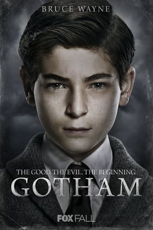 Gotham poszter