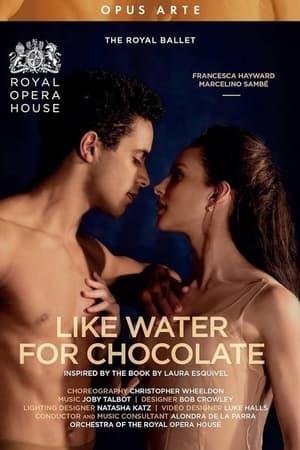 Like Water for Chocolate poszter