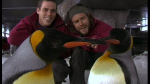 Wildboyz Speciális epizódok Ep.3 3. epizód