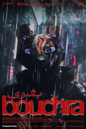 Bouchra poszter
