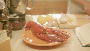 Shellfish Knish háttérkép