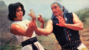 醉八仙拳 háttérkép