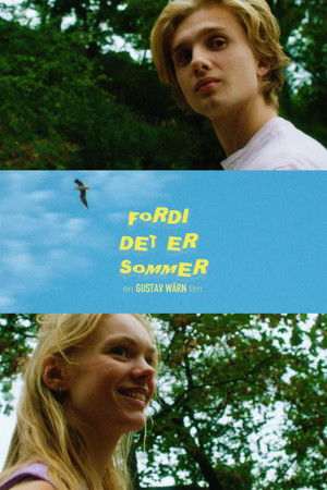 Fordi det er Sommer poszter