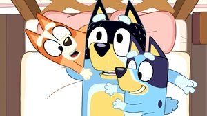 Bluey 1. évad Ep.10 Hotel