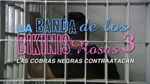 La banda de los bikinis rosas 3 - Las cobras negras contraatacan háttérkép