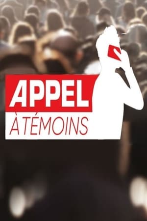 Appel à témoins poszter