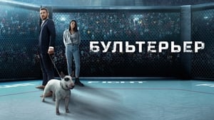 Бультерьер háttérkép