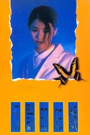 沉默的姑娘 poszter