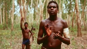 Yolngu Boy háttérkép