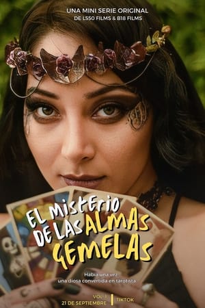 El Misterio de las Almas Gemelas: La serie