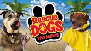 Rescue Dogs háttérkép