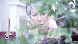 Betty háttérkép