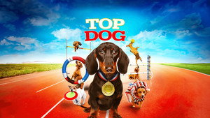 Wiener Dog Internationals háttérkép