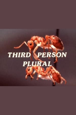 Third Person Plural poszter