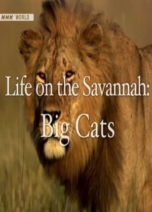 Life on the Savannah: Big Cats