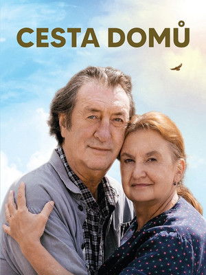 Cesta domů poszter