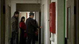 今天的鱼怎么样？ háttérkép