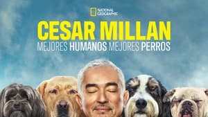 Cesar Millan: Jó gazdi, jó kutya kép