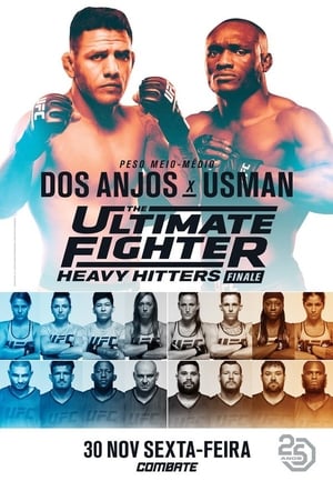 The Ultimate Fighter 28 Finale poszter