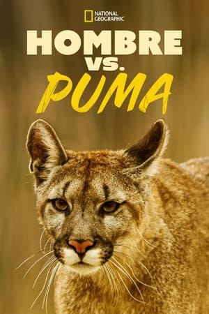 Man Vs. Puma poszter