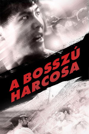A bosszú harcosa