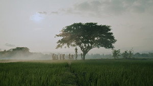 Bolong, 309 Hari Sebelum Tragedi Berdarah háttérkép