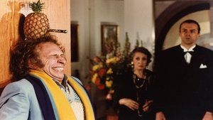 Mindent megmutatunk háttérkép