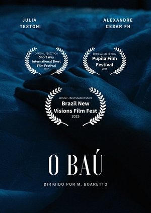 O Baú poszter
