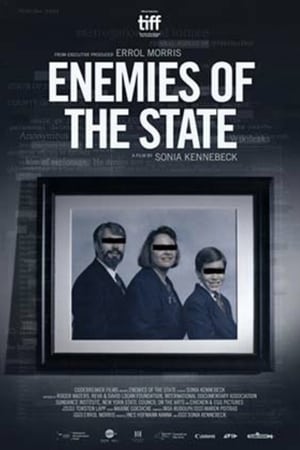 Enemies of the State poszter