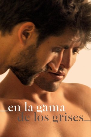 En la gama de los grises poszter