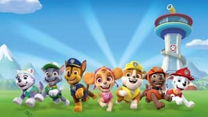 Nya äventyr med Paw Patrol háttérkép