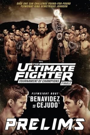 The Ultimate Fighter 24 Finale poszter